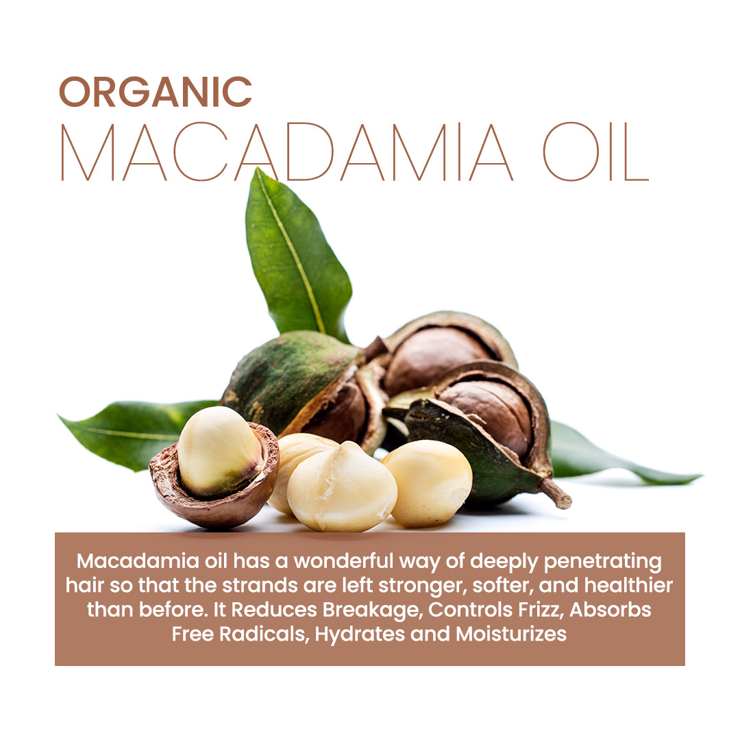  oil with nuts and leaves on a white background