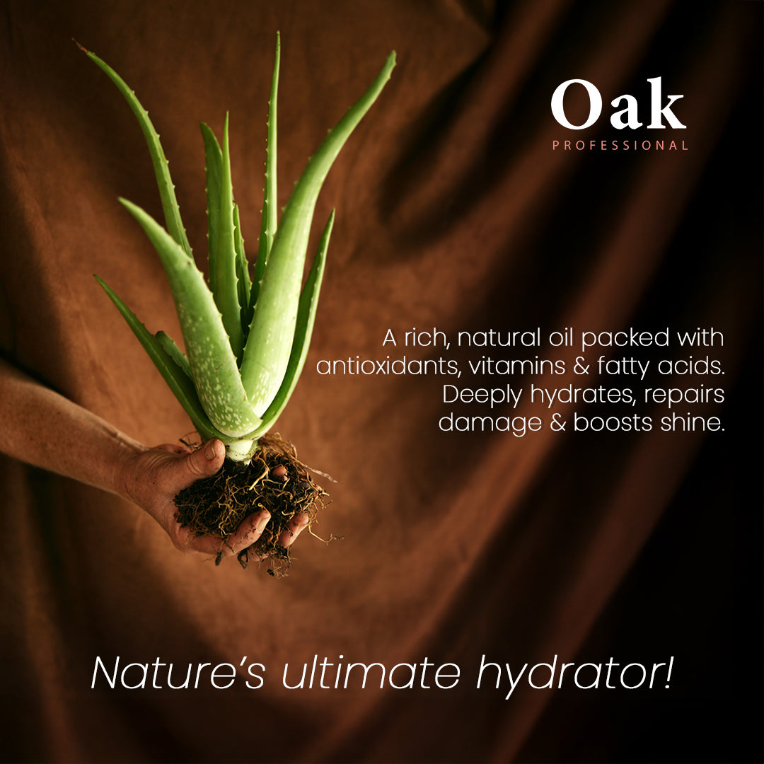 Hand holding aloe vera plant with 'Oak Professional' branding and product description.